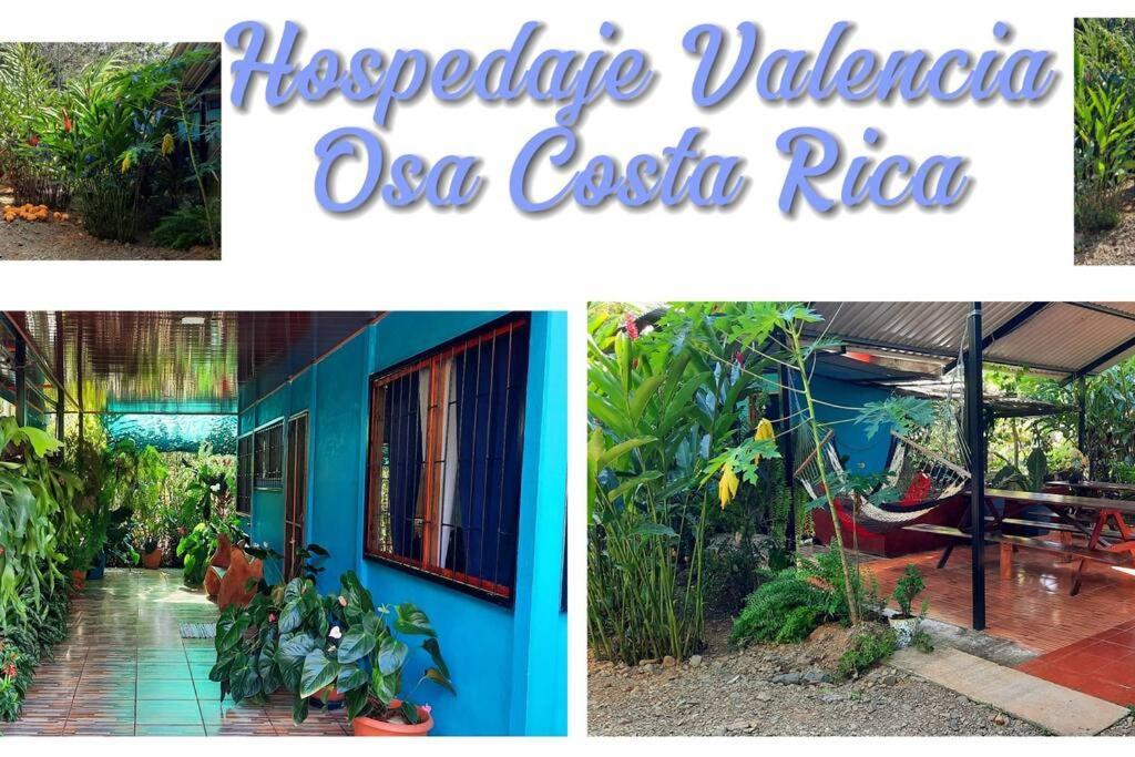 Hospedaje Valencia Osa, Cr Potrero  Extérieur photo