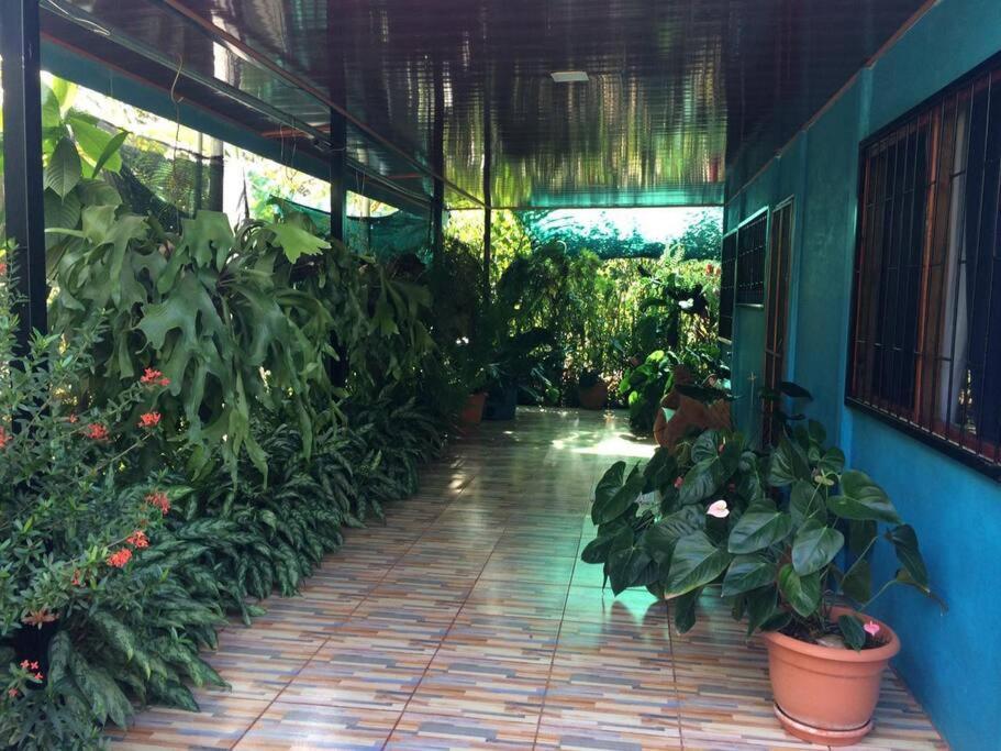 Hospedaje Valencia Osa, Cr Potrero  Extérieur photo