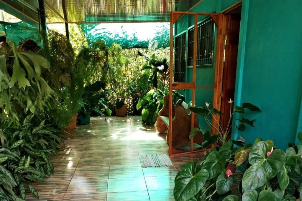 Hospedaje Valencia Osa, Cr Potrero  Extérieur photo